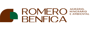 Home romero benfica